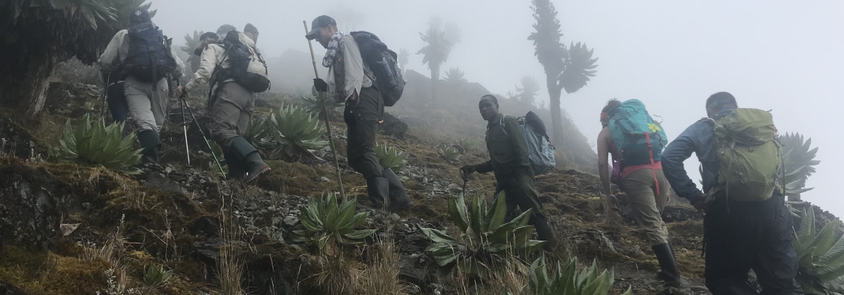 Rwenzori Trek Safety Tips